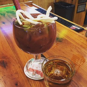 Tail Feather's Hawk's View