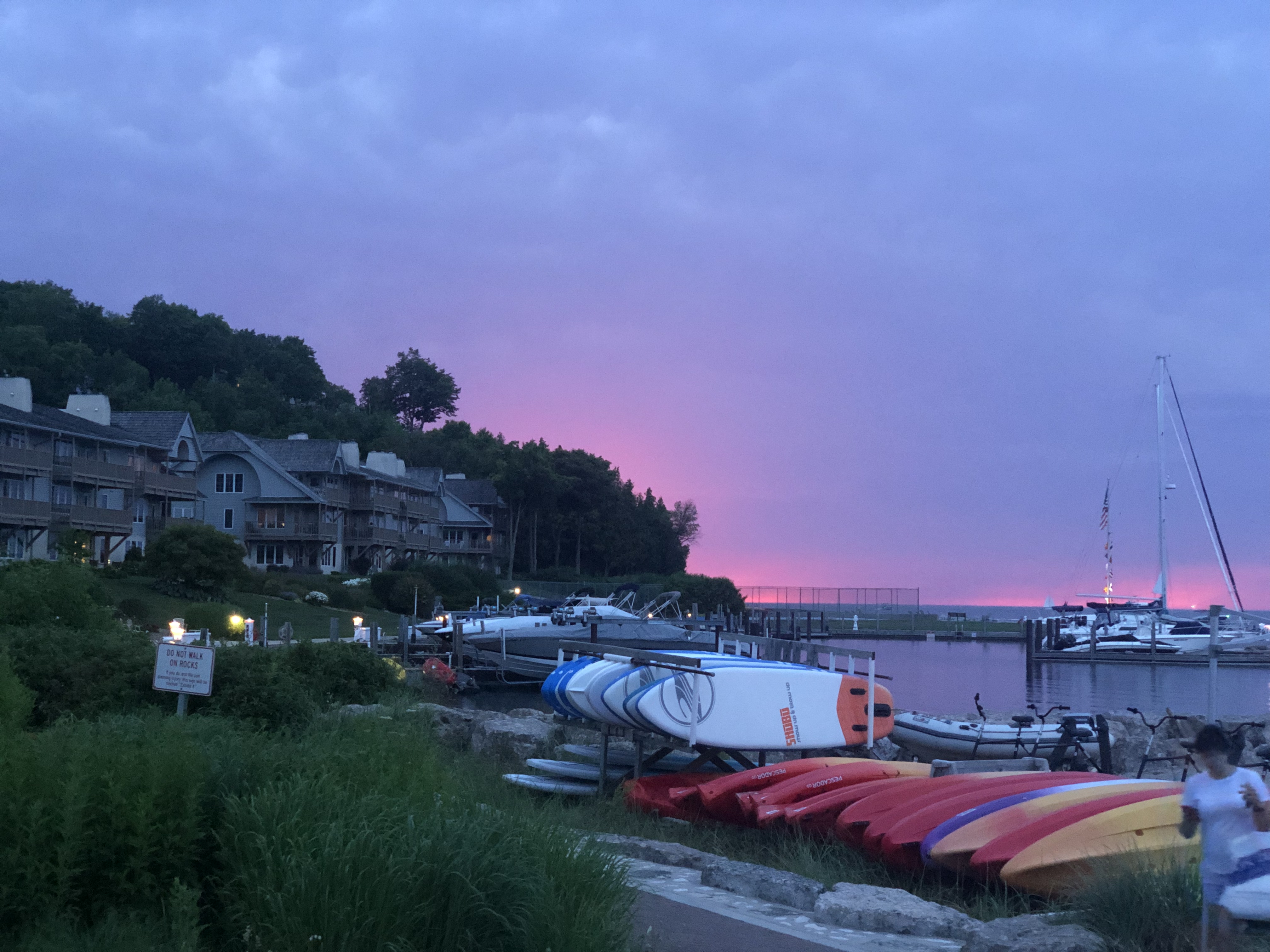 Photo Jul 19, 8 31 31 PM.jpg