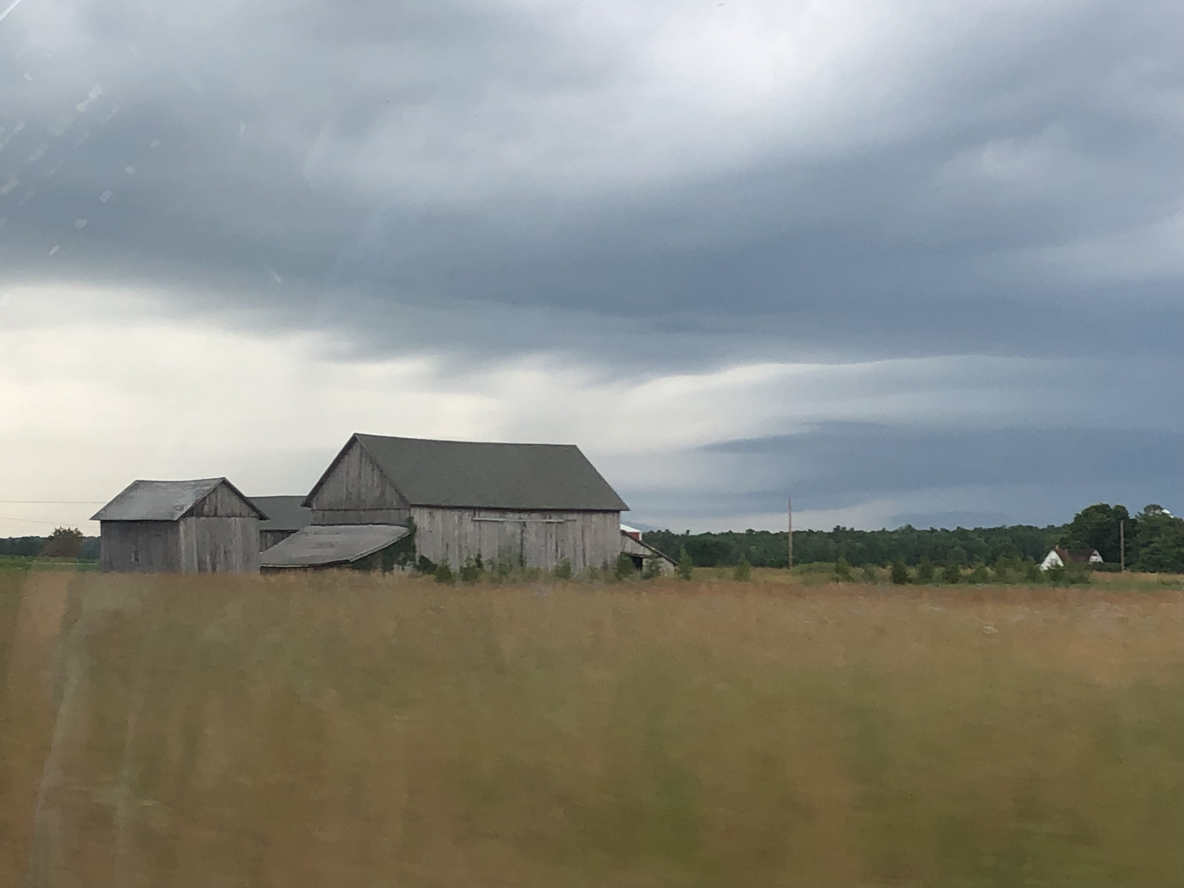 Photo Jul 20, 11 23 28 AM.jpg